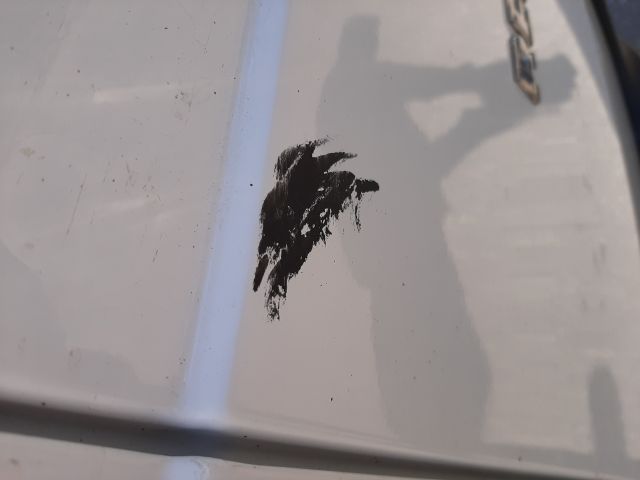 908253-52 Renault Kangoo Express 1.5 dCi -2017