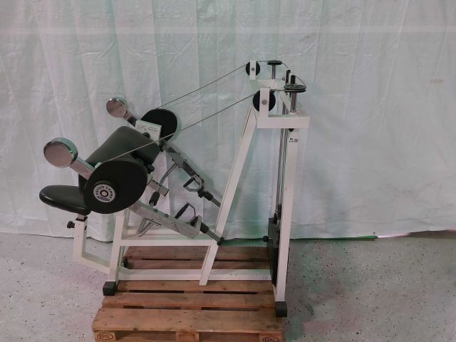 880493-3 Armcurl Biceps Isotonic Technogym