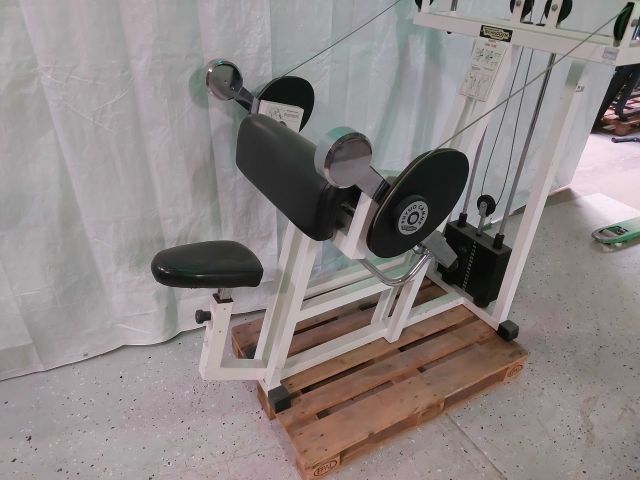 880493-5 Armcurl Biceps Isotonic Technogym