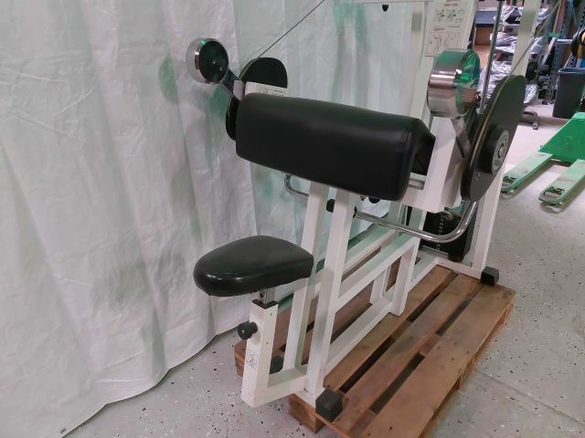 880493-6 Armcurl Biceps Isotonic Technogym