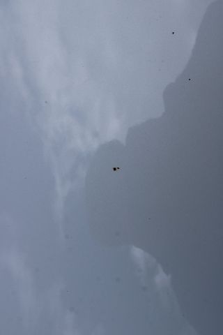 805751-37 Honda Civic 5-door 1.5 i-VTEC Turbo CVT - 2017