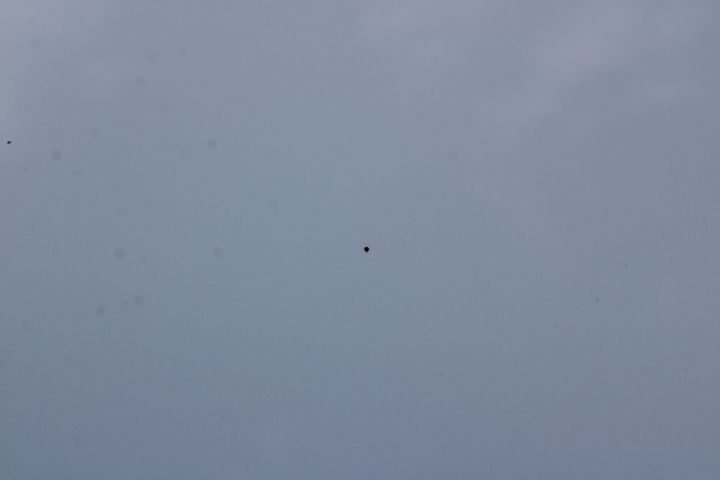 805751-38 Honda Civic 5-door 1.5 i-VTEC Turbo CVT - 2017