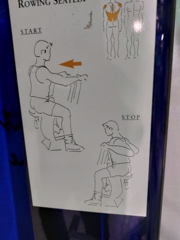 881704-7 Seated rowing machine with chest support C-curve