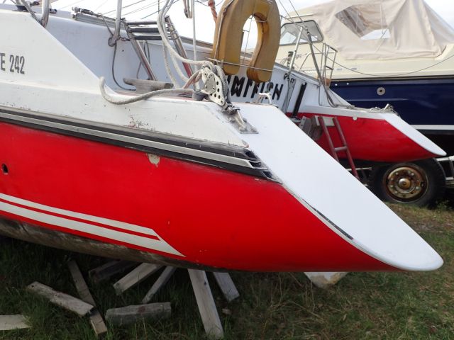 861766-11 Sailboat Catamaran - 1969