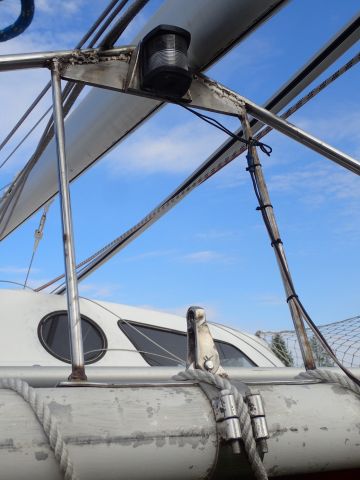 861766-34 Sailboat Catamaran - 1969