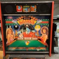895446-7 Pinball Bally Pool Shark -1990