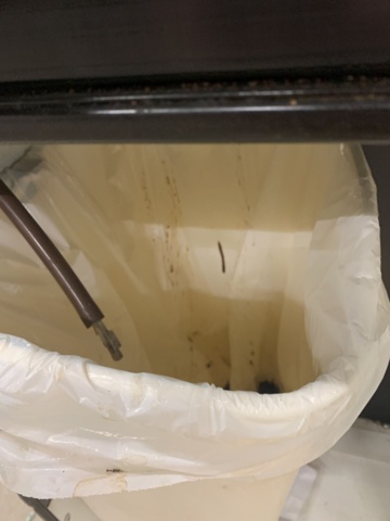 914155-18 Coffee machine wittenborg FB5100 Max