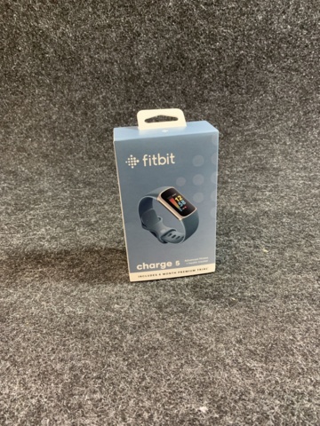917059-2 Fitbit Charge 5 Steel Blue / Platinum