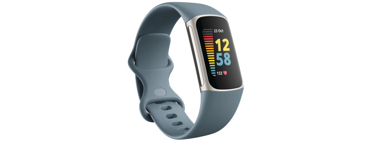 917059-1 Fitbit Charge 5 Steel Blue / Platinum