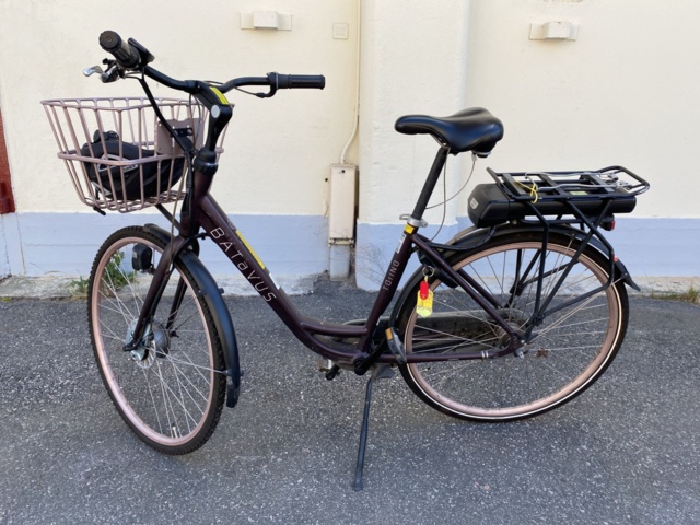 919456-1 Electric bike