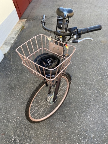 919456-2 Electric bike