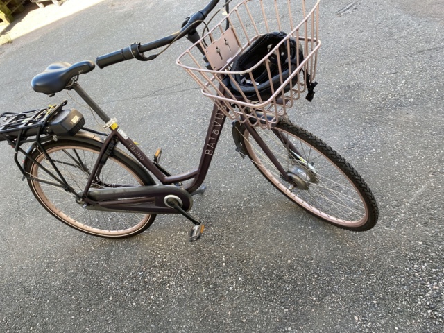 919456-3 Electric bike