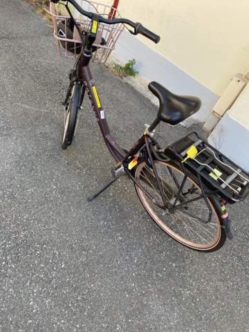 919456-6 Electric bike