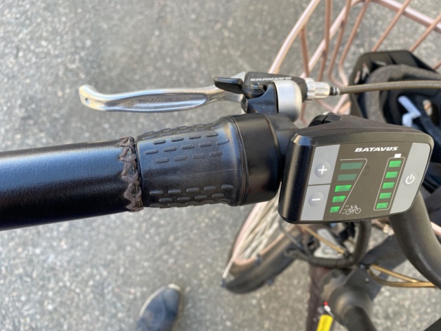 919456-15 Electric bike