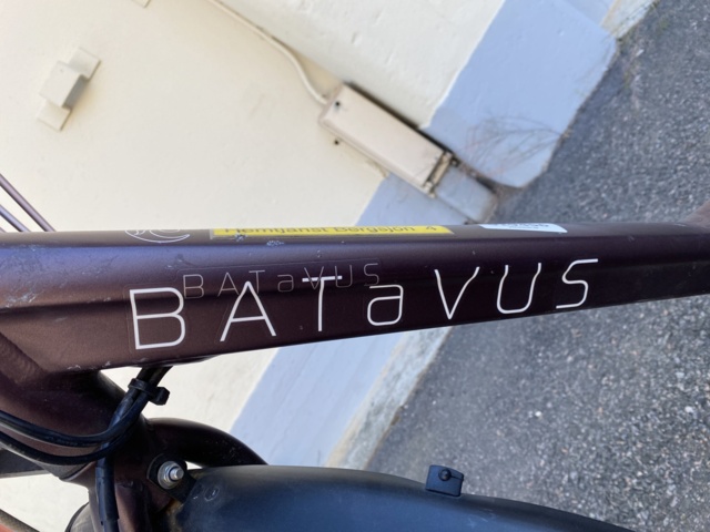 919456-19 Electric bike