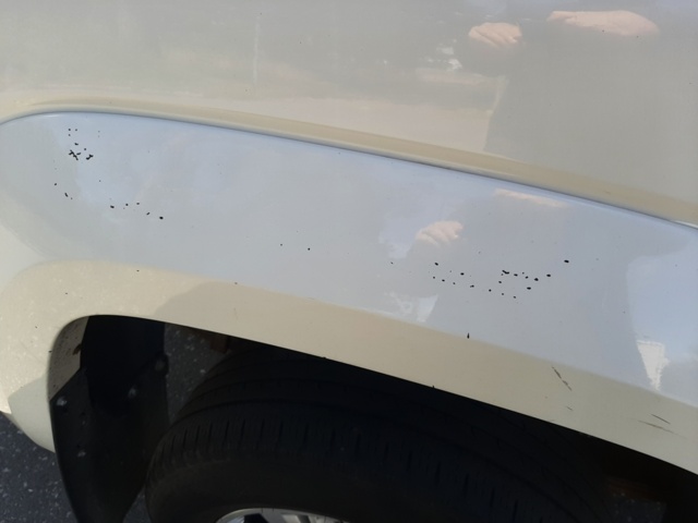 805171-61 Volkswagen Amarok Double Cab & Cover 2.0 BiTDI 4Motion - 2012