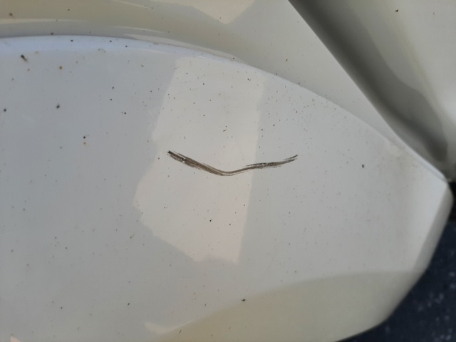 805171-62 Volkswagen Amarok Double Cab & Cover 2.0 BiTDI 4Motion - 2012