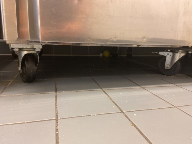 912538-5 Freezer TefcoldFreezer cabinet Tefcold RF710