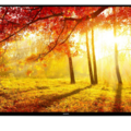 926764-1 55" 4K Ultra HD TV Skantic B5530UHD