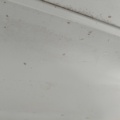 887528-81 Husbil Scania Vabis AL 36 42 -67