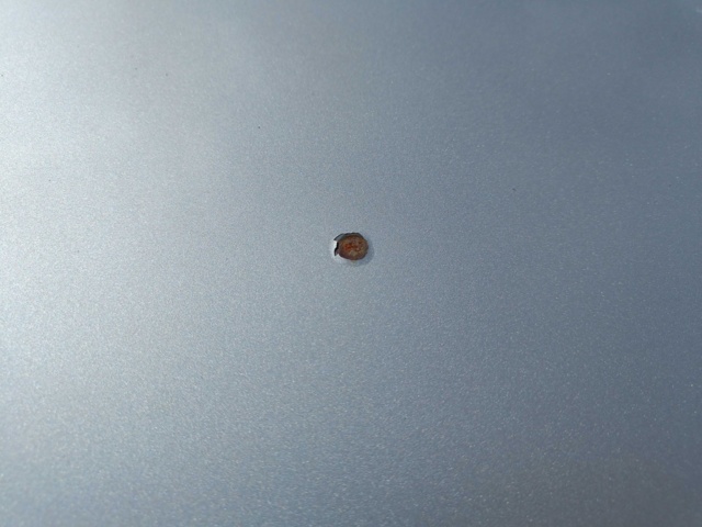 889309-22 Ford Ranger Double Cab 3.2 TDCi 4x4 -2014