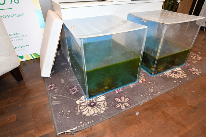 932787-5 Complete beauty salon