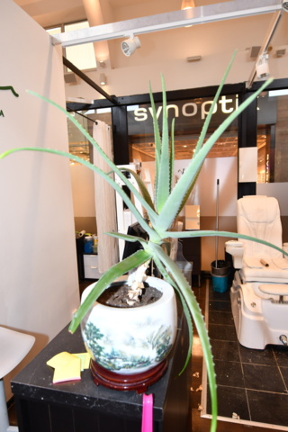 932787-44 Complete beauty salon