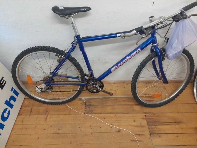 881913-2 Kuwahara Blue 21 Vxl