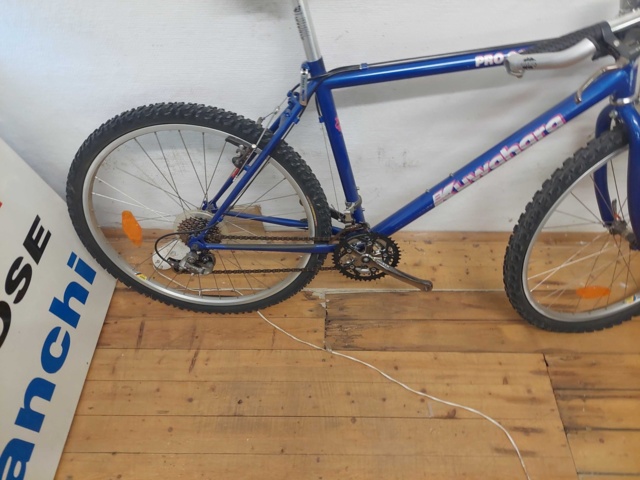 881913-3 Kuwahara Blue 21 Vxl