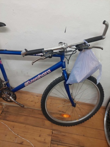 881913-10 Kuwahara Blue 21 Vxl