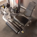 920605-2 Leg kick/thigh curl machine, Impulse
