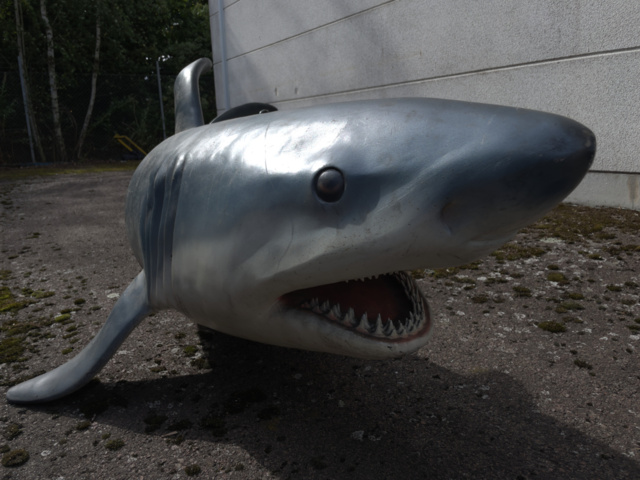 943110-1 Hanging shark