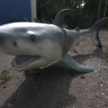 943110-2 Hanging shark