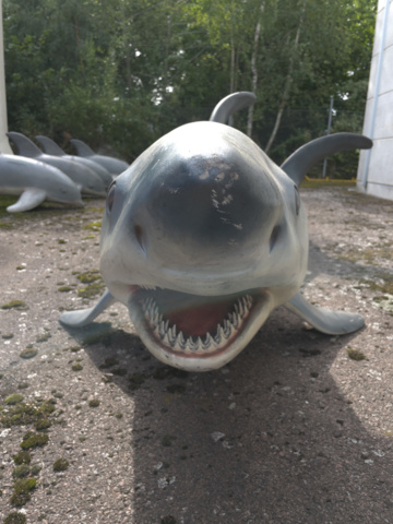 943110-3 Hanging shark