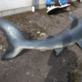 943110-6 Hanging shark