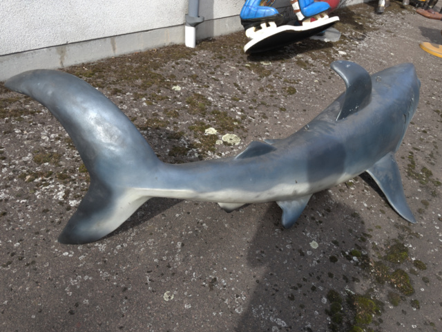 943110-6 Hanging shark