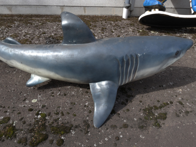 943110-7 Hanging shark