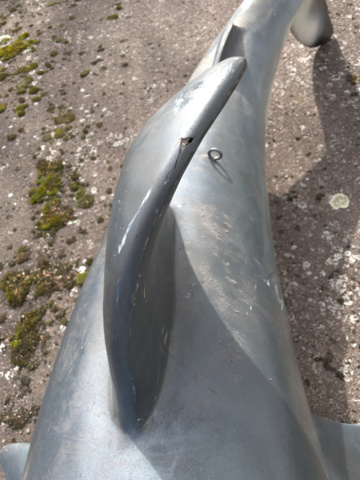 943110-9 Hanging shark