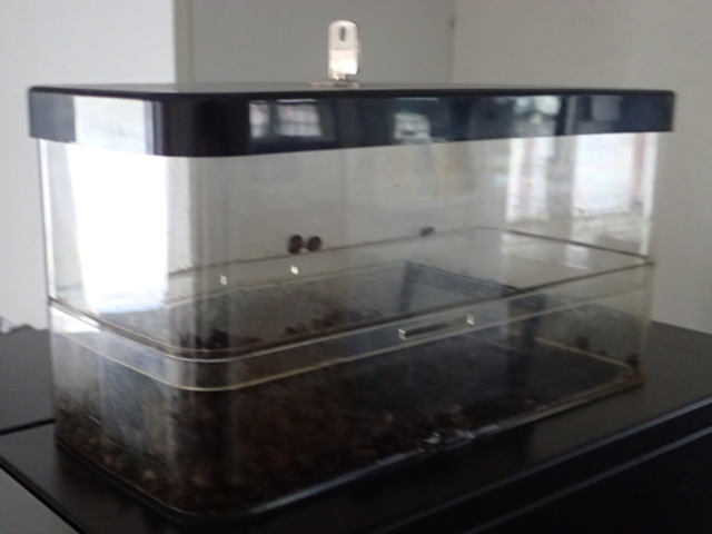 861967-12 Coffee machine Coffee Maxx 3000