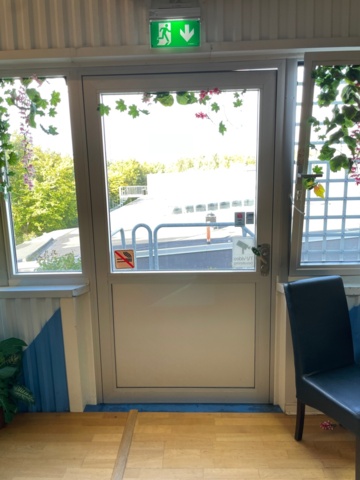 947489-6 Dinosaur type Raptor