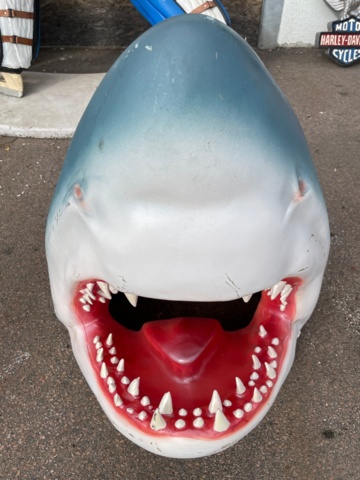 948376-3 Shark head wall decoration, 60 cm