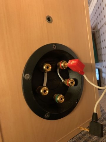 940309-2 Speakers Tannoy Sensys DC1 Maple, 2 pcs