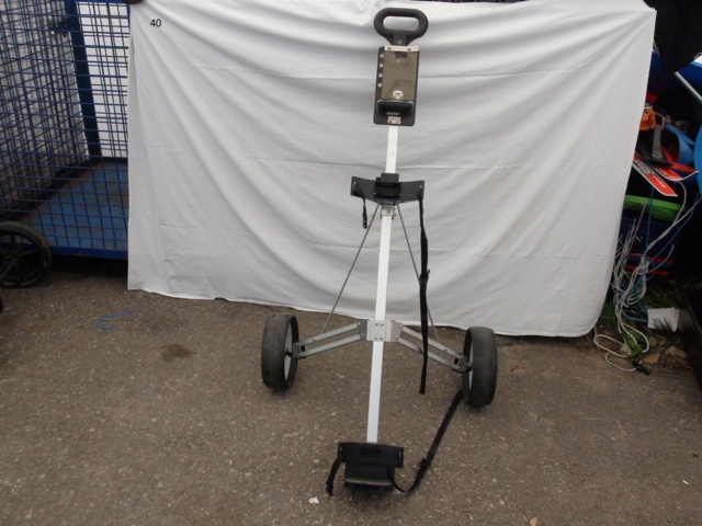 949268-1 2-wheeled golf cart