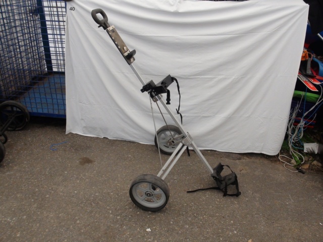 949268-2 2-wheeled golf cart