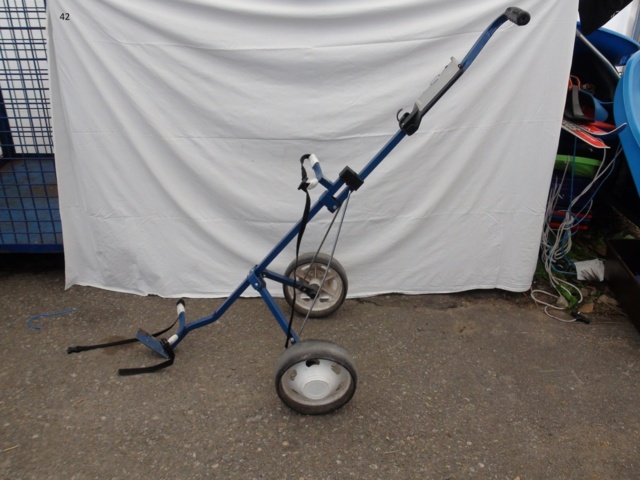 949270-1 2-wheeled golf cart