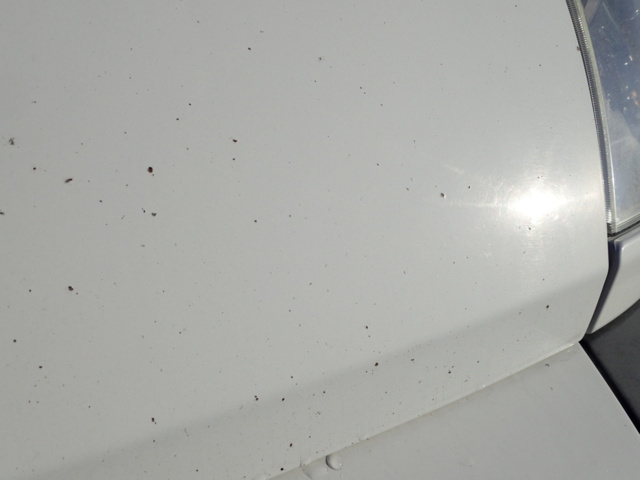 861996-34 Peugeot Boxer Van 330 2.2 HDi - 2010