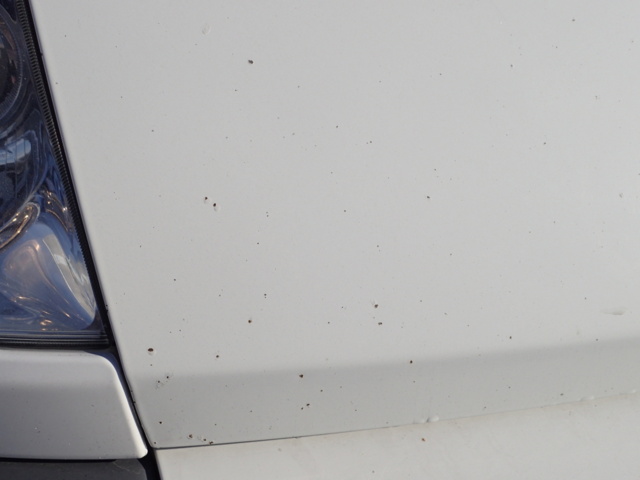 861996-36 Peugeot Boxer Van 330 2.2 HDi - 2010