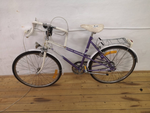 881969-1 Rex Road Runner 500 5vxl 24"