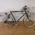 881970-1 Exclusiv 5vxl 24 "