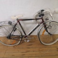 881970-2 Exclusiv 5vxl 24 "